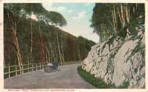 Vintage Postcard 1920's Mohawk Trail Through The Berkshire Hills Roadway Trees