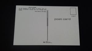 Colour Postcard Ellis Island