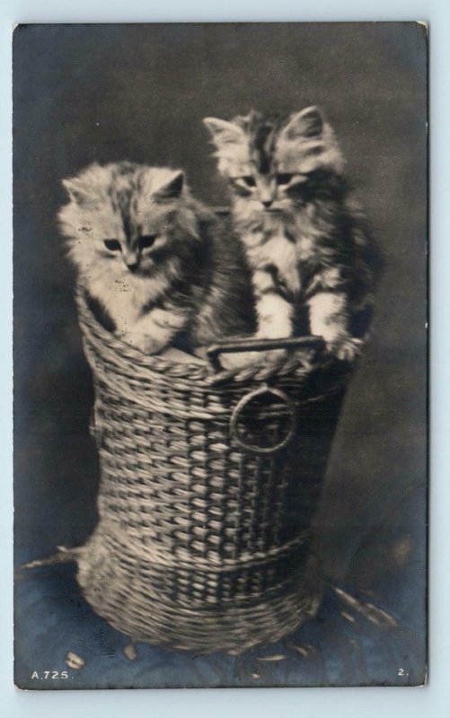 RPPC of 2 CUTE KITTENS iin a BASKET ~ British Publisher 1913  Postcard