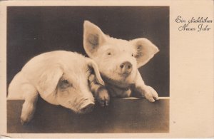 New Year 1943 Germany WWII greetings piglets photo postcard