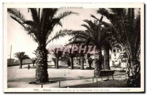 Old Postcard Dinard Les Palmiers the Promenade Clair de Lune