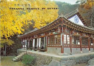 BG21205 goransa temple in buyeo south korea
