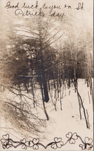 Winter Snow Scene Thorold Ontario area Park ON Ont c1908 RPPC Postcard E81