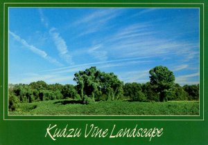 Kudzu Vine Landscape