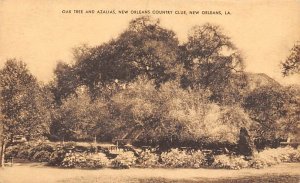 Court of the Two Sisters Country Club - New Orleans, Louisiana LA  