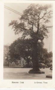 RP: LA GRANGE, Texas, 1930s; Historic Oak