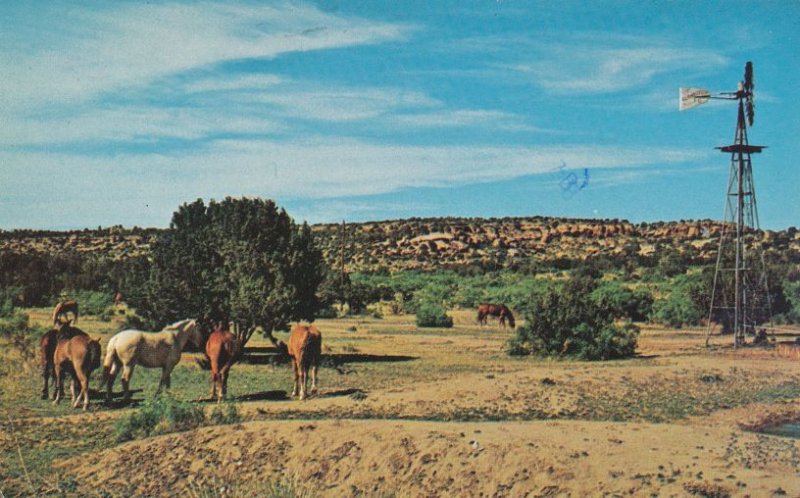 Typical Ranch Scene in Texas - Marked Return to Writer