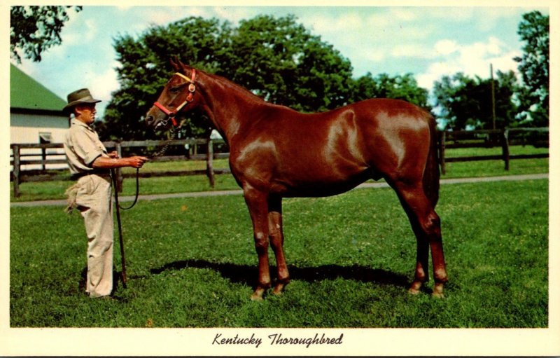 Kentucky Lexington Yearling Thoroughbred Ready For Sale Keeneland Race Course