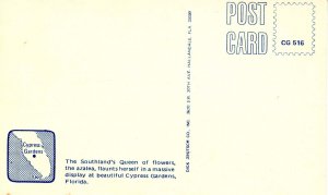 FL - Cypress Gardens. Azaleas Everywhere