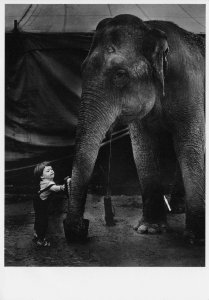 Tiny Boy & Giant Elephant Tamer Circus Amazing Photo Postcard