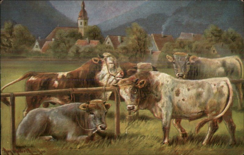 Cows Cattle in Pasture c1905 Artist Signed Postcard