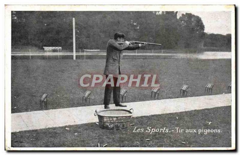 Old Postcard Pigeon Shooting