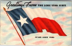 Postcard HISTORICAL SCENE State of Texas TX AK4253