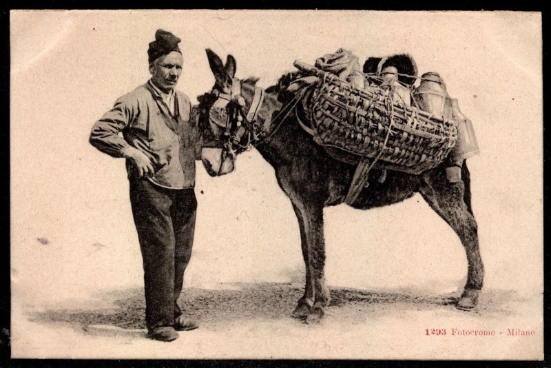 Italy Fotoeromo Milano Street vendor with donkey