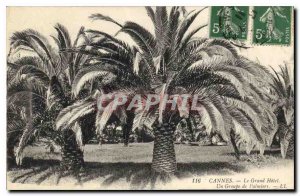 Old Postcard Cannes Grand Hotel A Group almiers