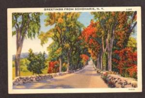 NY Greetings from SCHOHARIE NEW YORK Postcard Linen PC