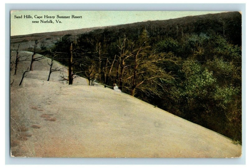 Circa 1910 Sand Hill, Cape Henry Summer Resort, Norfolk, Virginia Vintage P13