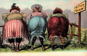 Ladies leaning over to view the scenery - A fine View - in 1908