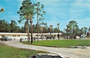Panama City Florida Reba Motel Street View Vintage Postcard K62239