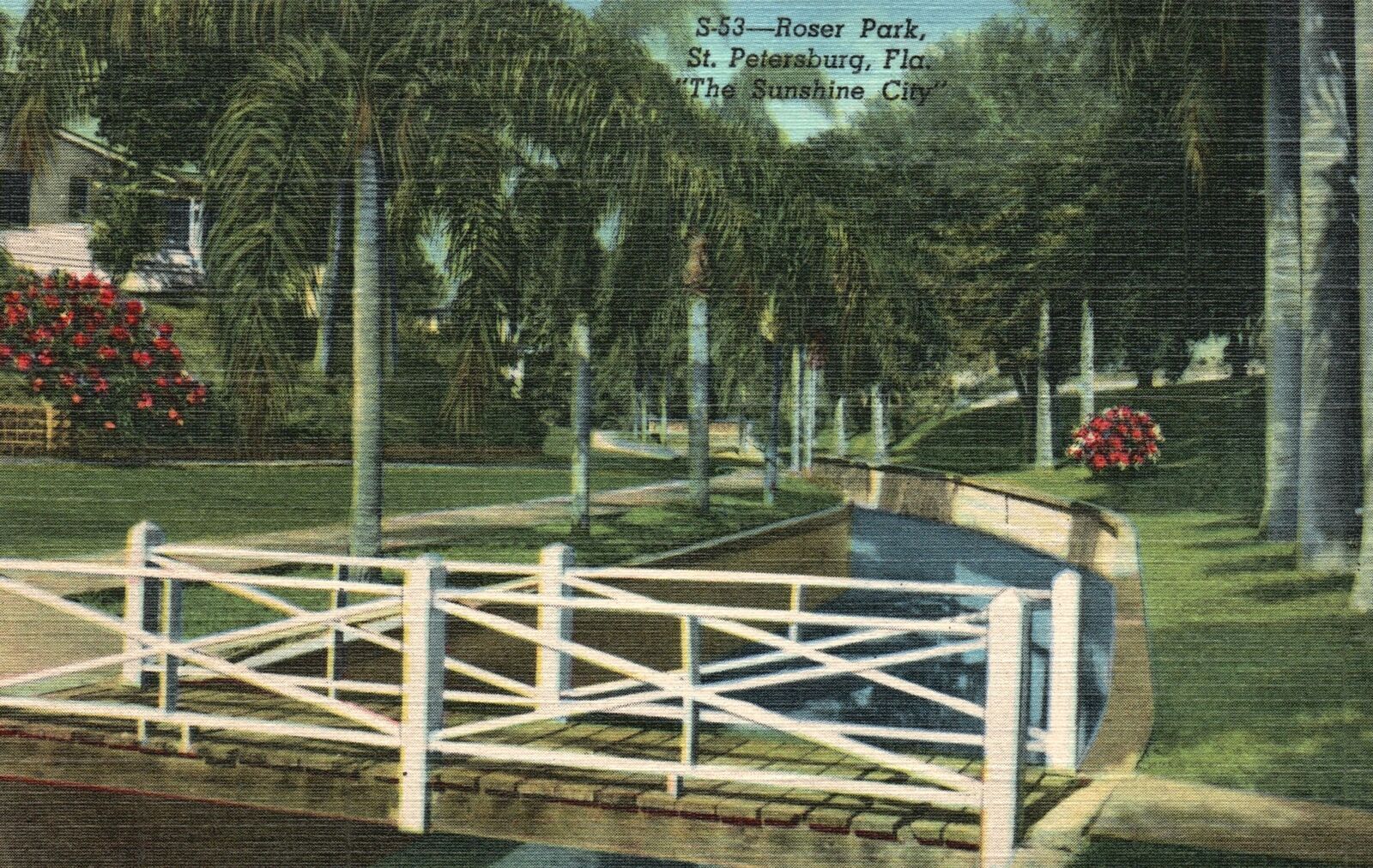 Vintage Postcard Roser Park The Sunshine City St. Petersburg Florida