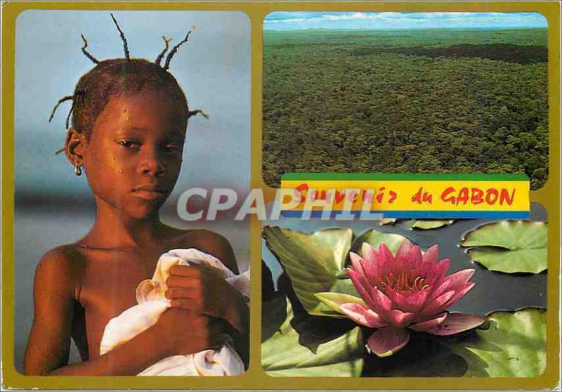  Modern Postcard to remember Gabon Bathe of the Evening the forest seen of Plane