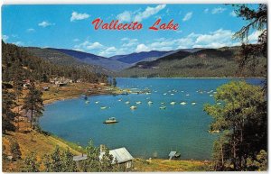 VALLECITO LAKE Durango, Colorado Bayfield 1960s Chrome Vintage Postcard
