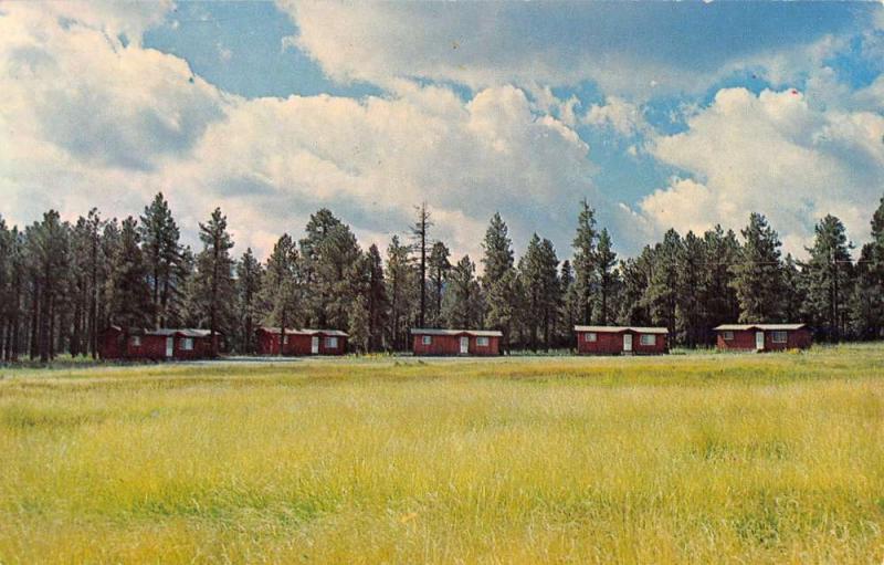 Alpine Arizona Meadow View Cottages Scenic View Vintage Postcard K33939