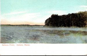 Maine Auburn Scene At Salmon Point