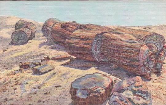 Arizona Petrified Forest Giant Logs In Rainbow Forest