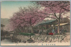 JAPAN NAGASAKI CHERRY BLOSSOM AT NAKAGAWAGO ANTIQUE POSTCARD