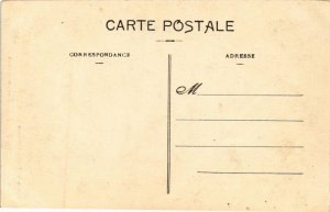 CPA PERPIGNAN Les Platanes (680714)