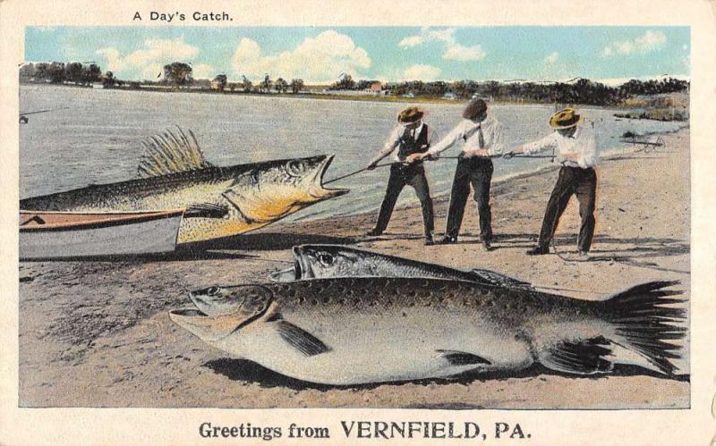 Vernfield Pennsylvania Large Fish Catch Humor Antique Postcard K104590