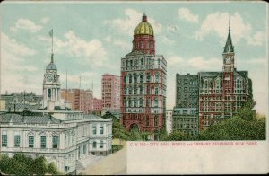 B579 United States New York City Hall World and Tribune Buildings postcard 1908
