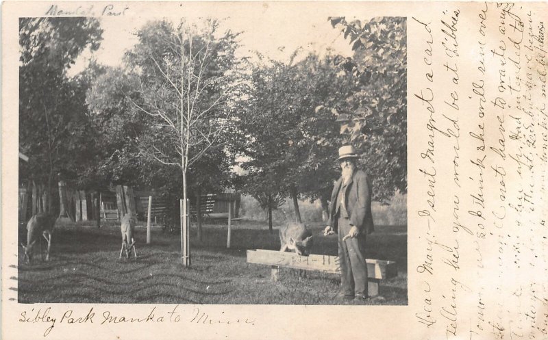 H37/ Mankato Minnesota RPPC Postcard c1908 Sibley Park Deer Feeding Man