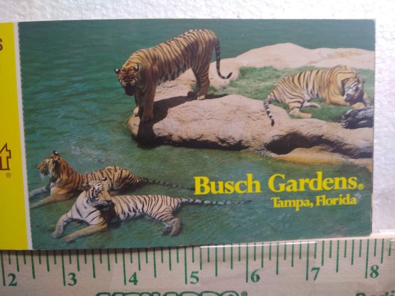 Postcard Folder Busch Gardens, Tampa, Florida