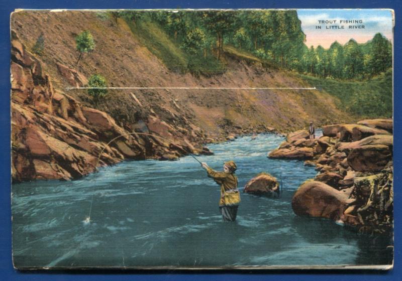 Great Smoky Mountains National Park Swinging Bridge Postcard Folder 