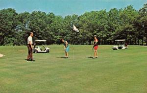 ROGERS, AR Arkansas PRAIRIE CREEK COUNTRY CLUB Golf Course~Golfers~Cart Postcard