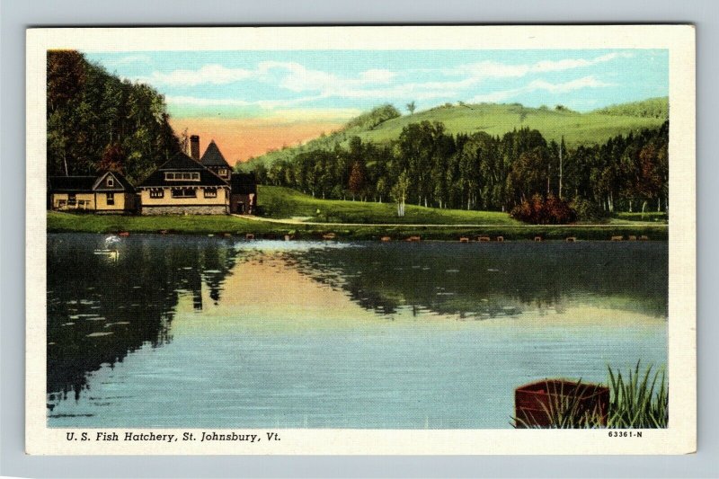 US Fish Hatchery, Vintage St Johnsbury Vermont Postcard
