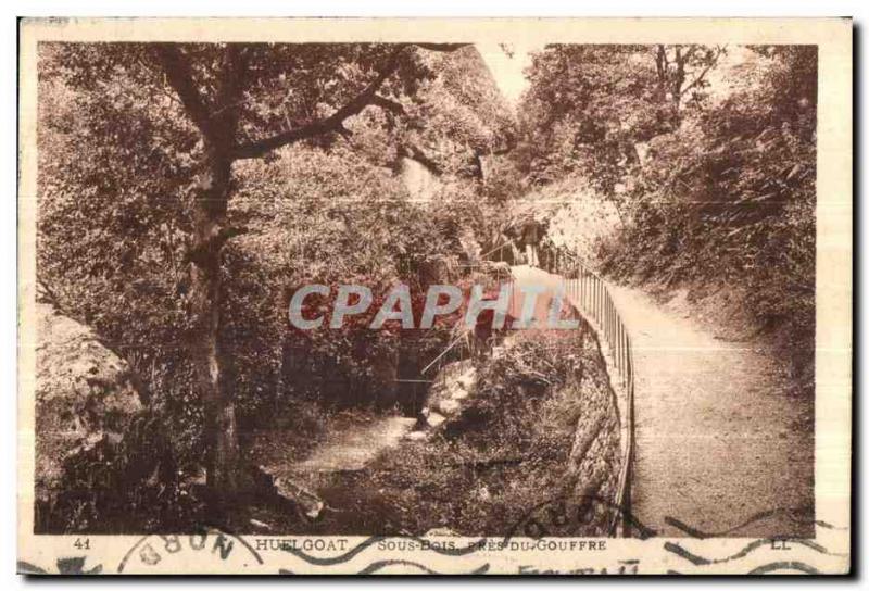 The Huelgoat - Undergrowth near the Chasm - Old Postcard