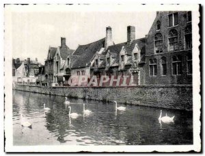 Modern Postcard Brugge Bruges Groene Rei Godshuis Quai Du Green House Pelican