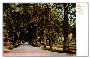 Boston Street View Looking East Madison Connecticut CT UNP UDB Postcard E17