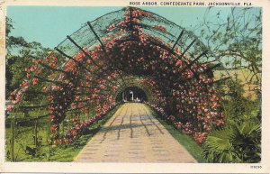 Jacksonville FL, Confederate Park, Rose Garden, Civil War, Curt Teich 1915-30