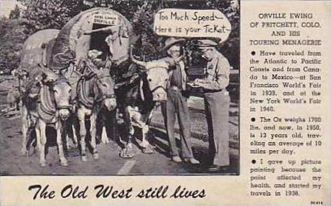 Colorado Pritchett Orville Ewing With Wagon Getting Ticket From Policeman Cur...