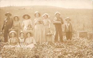 F9/ Occupational Real Photo RPPC Postcard c1910 Bwerry Pickers Farmers 13