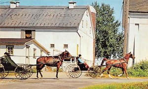 Amish Boys in horse and buggy Lancaster Pennsylvania, PA