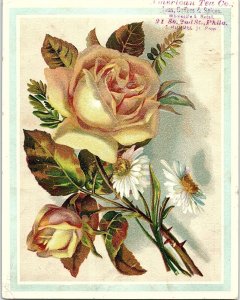 1880s MIDDLETON'S SILVER TEA PHILADELPHIA PA FLORAL VICTORIAN TRADE CARD 40-164