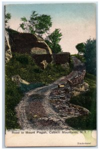 1909 Road To Mount Pisgah Catskill Mountains New York NY Antique Postcard