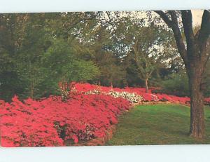 Pre-1980 PARK SCENE Muskogee Oklahoma OK hk6990