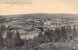 Zwiesel Germany Birdseye View Of City Antique Postcard K94258