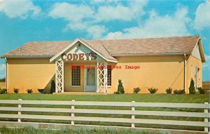 MN, Rochester, Minnesota, Codey's Wonder House Museum, Dexter Press No 90871-B